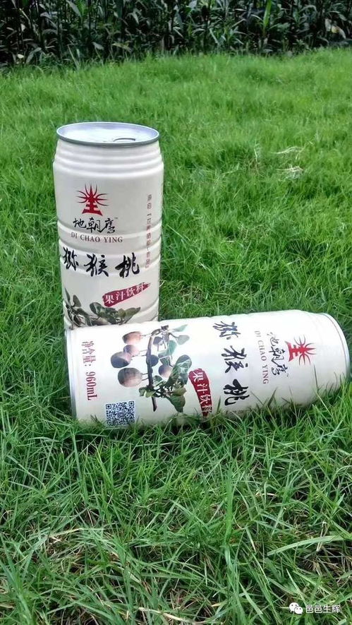 來自世界硒都的饋贈，江門朋友有口福了！